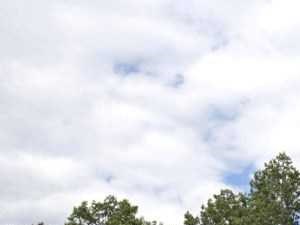 Central Connecticut Ct Apartments For Rent Rentcaf 233